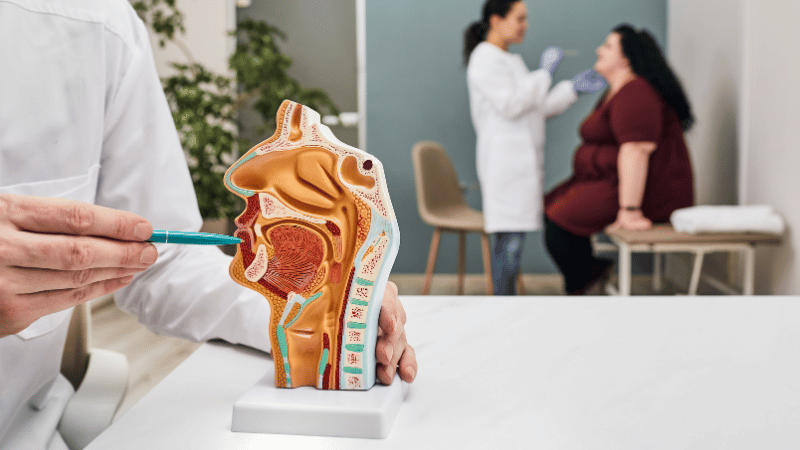 The Importance of Regular ENT Check-ups: Preventive Healthcare for a Healthy Future